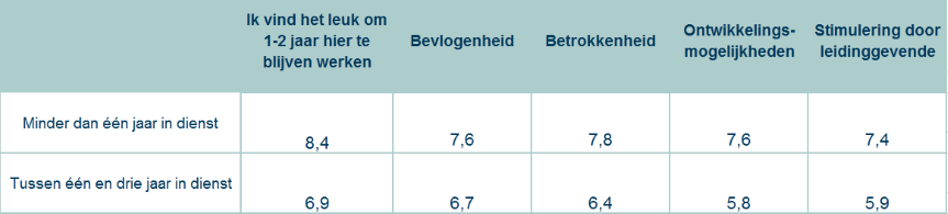 Werkbeleving van medewerkers in de ICT-branche