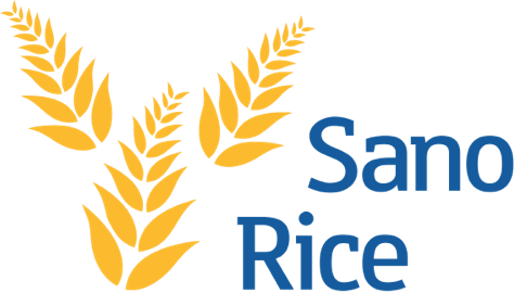 Logo How SanoRice used employee feedback to drive transformation and build alignment across Europe 