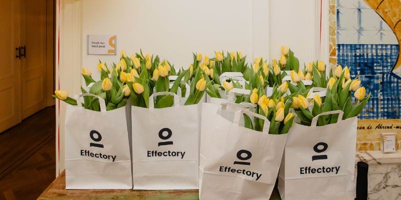 World-class Workplace event tulips