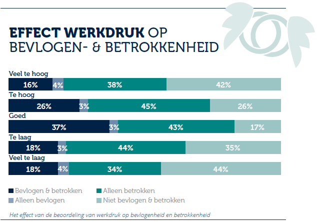 Effect werkdruk op bevlogenheid en betrokkenheid