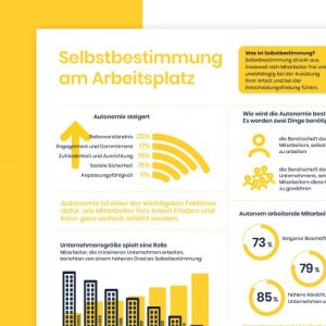 Infografik: Autonomie am Arbeitsplatz